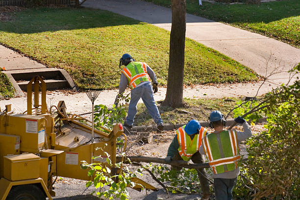 Lawn Watering Services in Berryville, TX